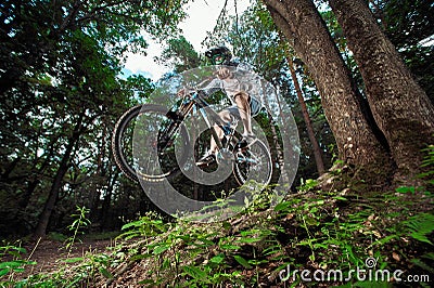 Cyclist riding in forest Editorial Stock Photo