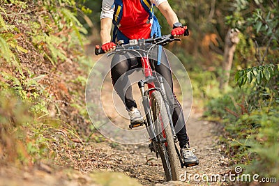 Woman riding mountain bike on outdoor trail in forest Stock Photo