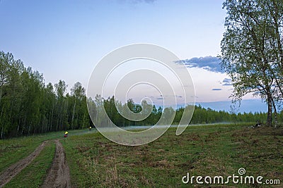 Cyclists ride along a green forest into a white fog Stock Photo