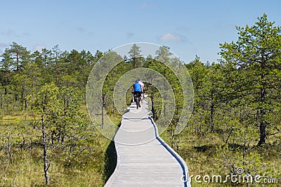 Cyclists on wooden hiking trail of bog area Stock Photo