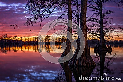 Cypress Lake, scenic sunset, Southern Illinois Stock Photo