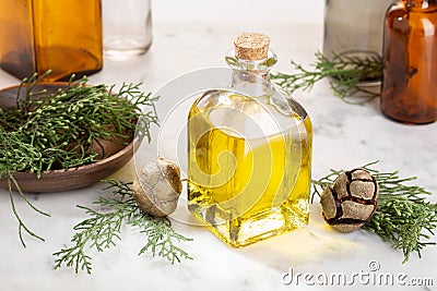 Cypress essential oil for beauty or medicinal purposes Stock Photo