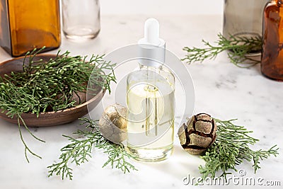 Cypress essential oil for beauty or medicinal purposes Stock Photo