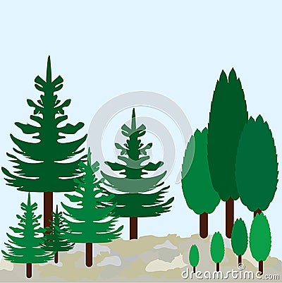 Cypress and pines on landscape. Eco park Vector Illustration