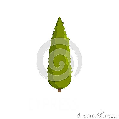 Cypress tree icon, flat style Vector Illustration