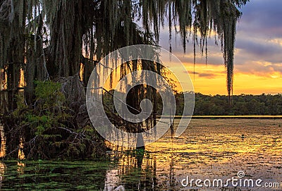 Another bayou sunset Stock Photo