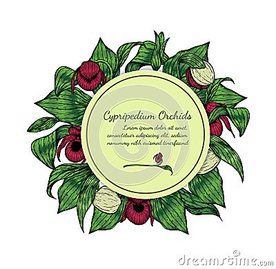 Cypripedium orchids card by hand drawing Vector Illustration