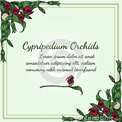 Cypripedium orchids card by hand drawing Vector Illustration