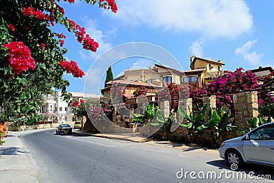 Cyprus Paphos Flowers on street. Editorial Stock Photo