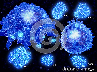 Cytokine storm, macrophage and T effector cell segregate cytokines Stock Photo