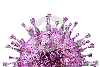 Cytomegalovirus, DNA virus from herpesviridae family Cartoon Illustration