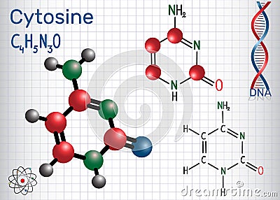 Cytosine C - pyrimidine nucleobase, fundamental unit Vector Illustration