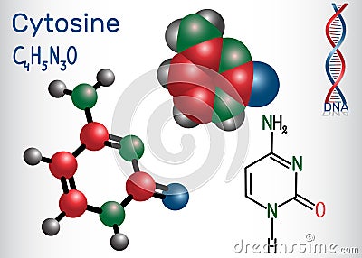 Cytosine C - pyrimidine nucleobase, fundamental unit Vector Illustration