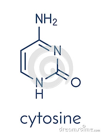 Cytosine pyrimidine nucleobase component. One of the bases found in DNA and RNA. Skeletal formula. Vector Illustration