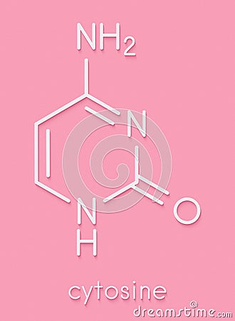 Cytosine pyrimidine nucleobase component. One of the bases found in DNA and RNA. Skeletal formula. Stock Photo