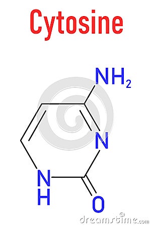 Cytosine pyrimidine nucleobase component. One of the bases found in DNA and RNA. Skeletal formula. Vector Illustration