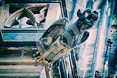 Czech architecture, scary gargoyle sculpture, gothic temple decoration. Medieval art, mystic gargoyle monster statue, St. Vitus C Stock Photo