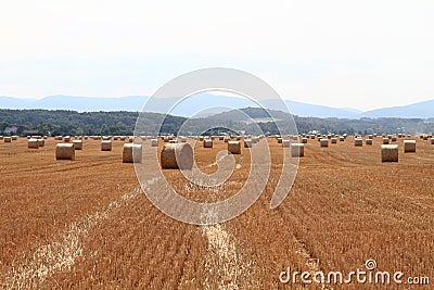 Czech autumn field Stock Photo