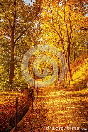 Czech Autumn Stock Photo