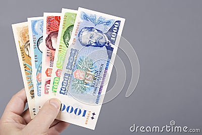 Czechoslovak Crowns in the hand on a gray background Stock Photo