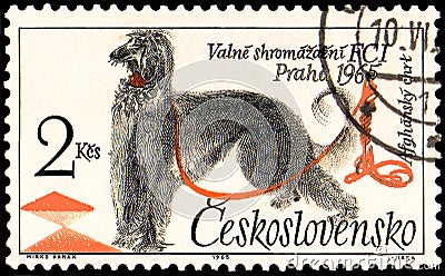 CZECHOSLOVAKIA - CIRCA 1965: a stamp, printed in Czechoslovakia, shows a Afghan Hound Editorial Stock Photo