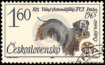 CZECHOSLOVAKIA - CIRCA 1965: a stamp, printed in Czechoslovakia, shows a czech terrier dog Editorial Stock Photo