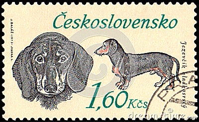 CZECHOSLOVAKIA - CIRCA 1973: a stamp, printed in Czechoslovakia, shows a Dachshund Editorial Stock Photo