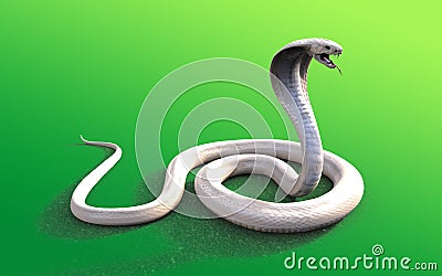 3d Albino king cobra snake Stock Photo