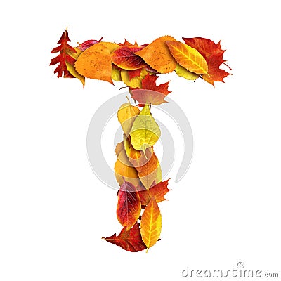 3d alphabet, uppercase letter T made of leaves, 3d rendering, autumn Stock Photo