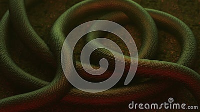 3D Animation of a Giant Dragon Snake Body Moving Stock Footage - Video of  concept, dragon: 171179848