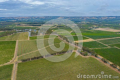 d'Arenberg Cube situated at a vineyard at Mclaren Vale, Australia Stock Photo
