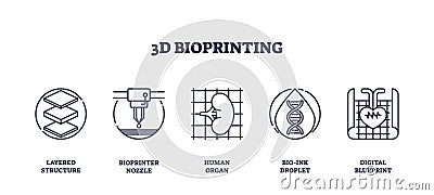 3D bioprinting involves layered structures, bioprinter nozzles, and human organs.... Vector Illustration