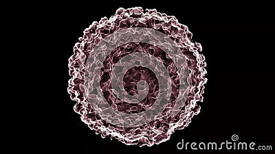 3D cell model on a black background, a macro view of the cell of the human body. Medical Biological Concept. Virus Stock Photo