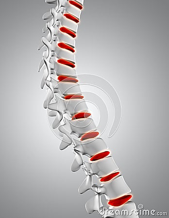 3D close up of spine with discs highlighted Stock Photo