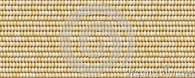 Close up corn seeds are not ripe yet texture background Stock Photo