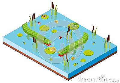 3D design for pond scene with two crocodiles Vector Illustration