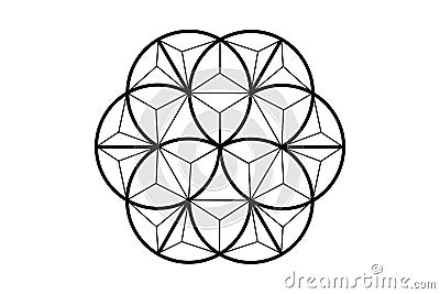 3D flower of life, sacred geometry. lotus flower. mandala ornament in polygonal wire frame, esoteric spiritual symbol. Logo tatto Vector Illustration