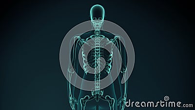 3d framförde illustrationen av smärtsamma armar, skuldra medicinsk begreppsanimering royaltyfri illustrationer 3d framförde illustrationen av smärtsamma armar, skuldra medicinsk begreppsanimering royaltyfri illustrationer