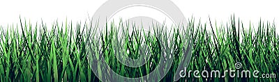 3D grass on a white background Stock Photo