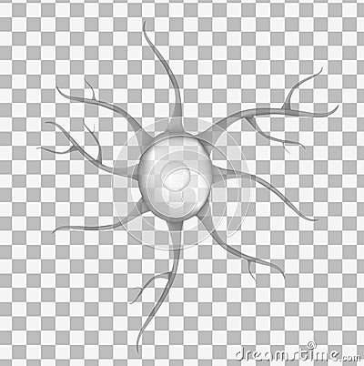 3d gray human neuron isolated on transparent background. Realistic vector illustration. Template Vector Illustration