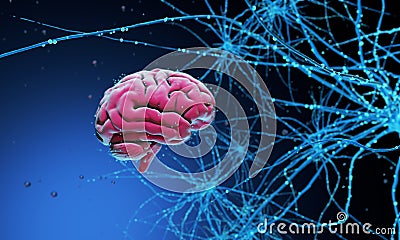 3D human brain Cartoon Illustration