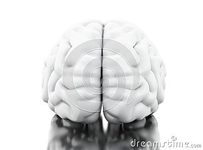 3d Human brain. Science anatomy concept Cartoon Illustration