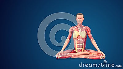 3D human Siddhasana or Adept’s yoga Pose on blue background (normal hand) Stock Photo