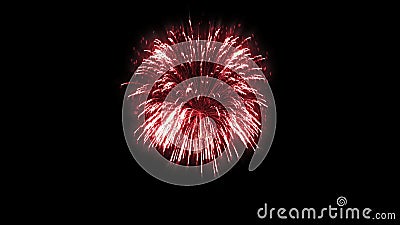 3D illustration. Abstract Realistic animation Firework Colorful Cartoon Illustration