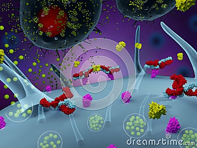 Activated mast cells Cartoon Illustration