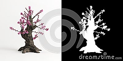 3d illustration of Armeniaca mume bonsai isolated on white and its mask Cartoon Illustration