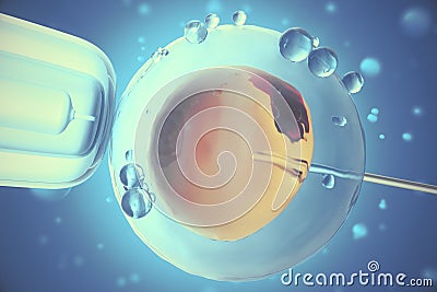 3D Illustration of artificial insemination or in-vitro fertilization of an egg cell,ovum or zygote, Concept, scientific Stock Photo