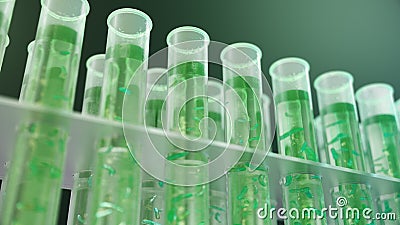 3D Illustration biofuel oil research in the laboratory, biofuel concept. Bacteria in the liquid inside the test tube as Stock Photo