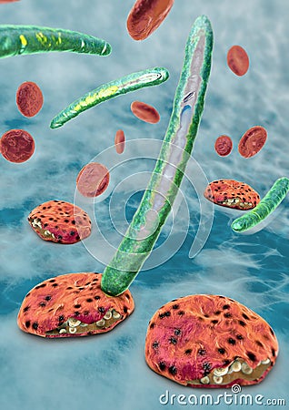 3d illustration of blood cells, plasmodium causing malaria Cartoon Illustration