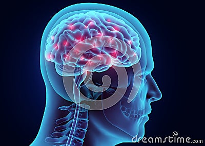 3D illustration brain nervous system active. Cartoon Illustration